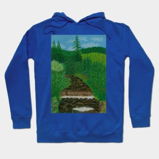 A purling stream in the Carpathian Mountains, Ukraine Hoodie